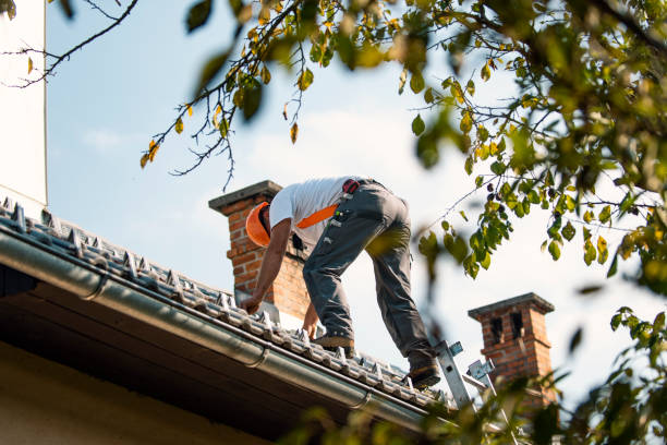 Best Roof Restoration Services  in Salina, UT