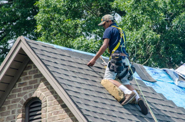 Best Roof Gutter Cleaning  in Salina, UT